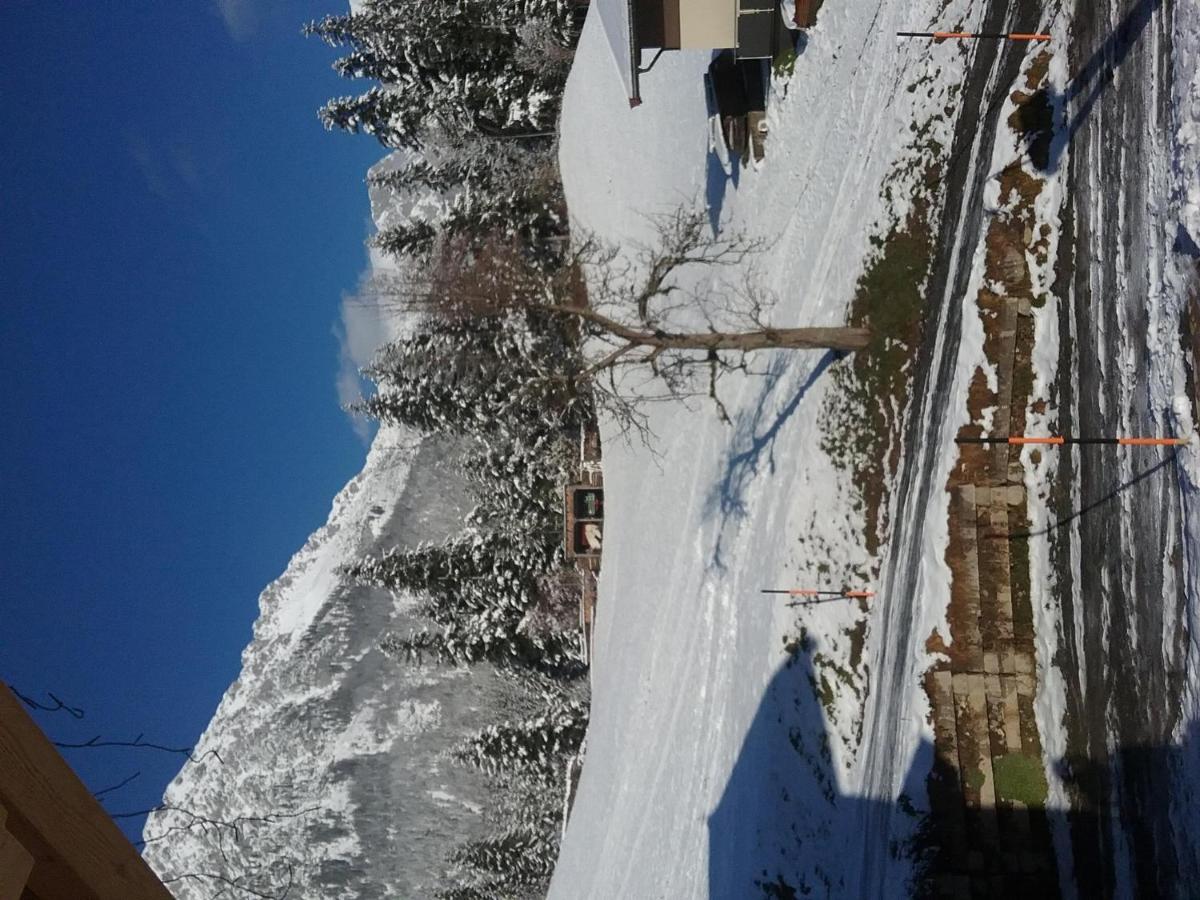 Apartament Bauernhof Vordergrub Scheffau am Wilden Kaiser Zewnętrze zdjęcie