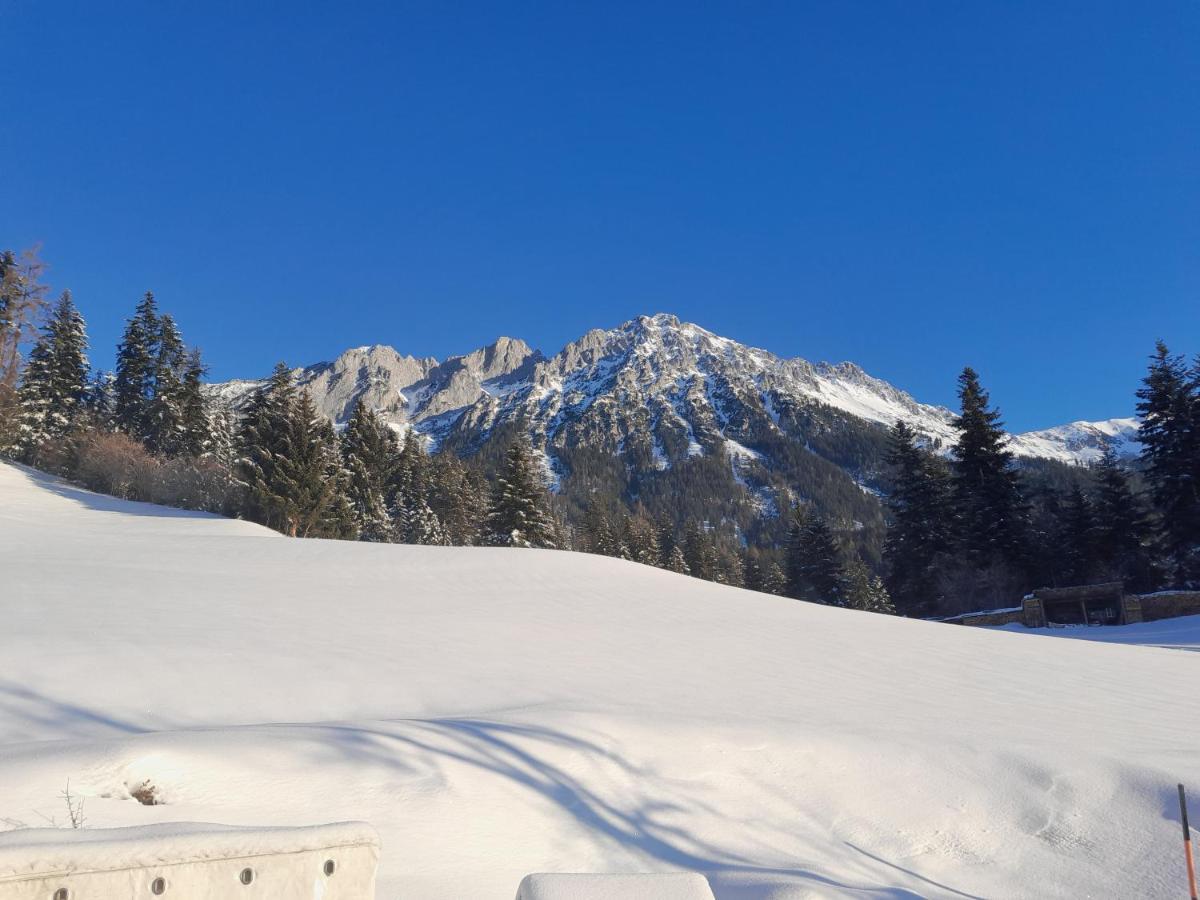 Apartament Bauernhof Vordergrub Scheffau am Wilden Kaiser Zewnętrze zdjęcie